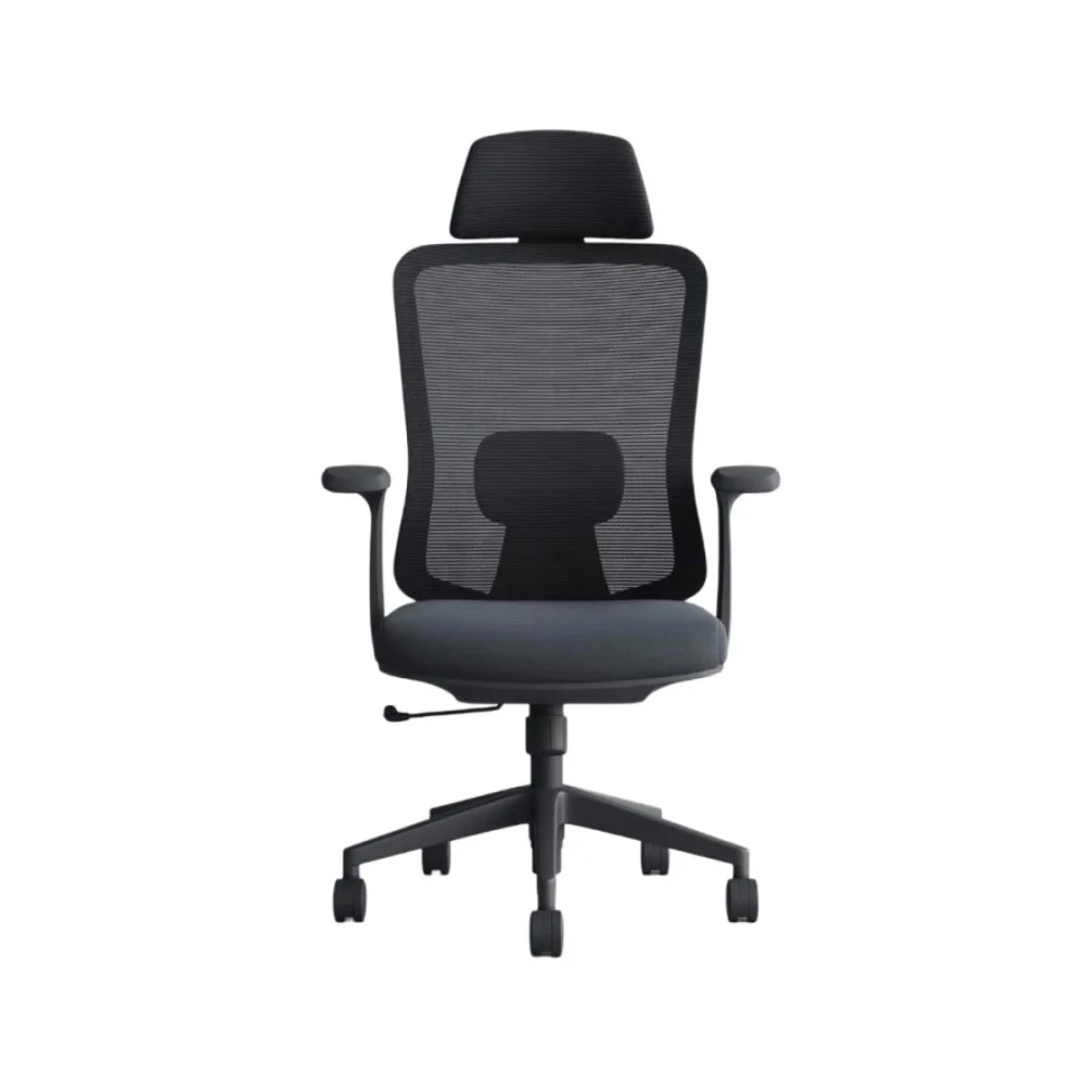 Ergonomic Office Chair with Lumbar Support Black
